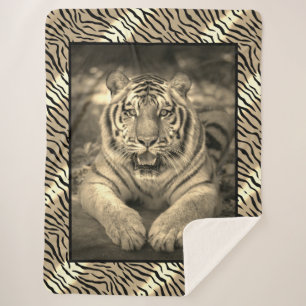 Manta Sherpa Tiger Sherpa Blanket