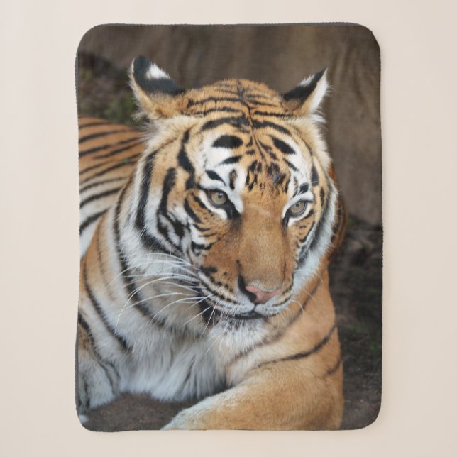 Manta Sherpa Tigre (Anverso)