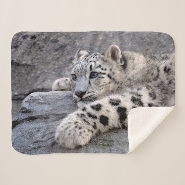 Manta Sherpa Todo Jugado (Anverso (horizontal))