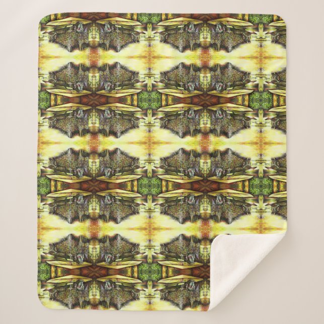 Manta Sherpa Tomada de la posesión de los poderes (Anverso)