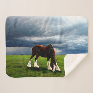 Manta Sherpa Tormenta de Clydesdale
