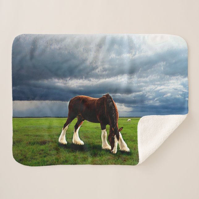 Manta Sherpa Tormenta de Clydesdale (Anverso (horizontal))
