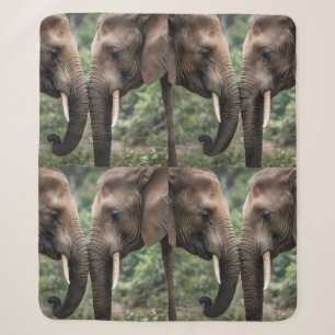 Manta Sherpa "Trunk to Trunk: A Gentelphant Embrace"