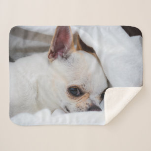 Manta Sherpa Tu mascota perro cachorro personalizado foto chihu