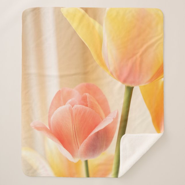 MANTA SHERPA TULIP AMARILLO Y ROJO EN BLOOM CERRAR FOTO (Anverso)