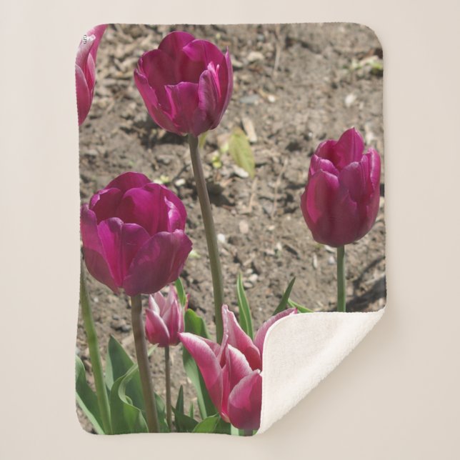 Manta Sherpa Tulips morado sherpa blankert (Anverso)