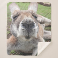 Un canguro animal kawaii con cara divertida