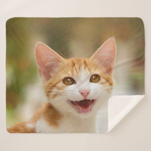 Manta Sherpa Un gatito gracioso sonriente gatito gracioso frent