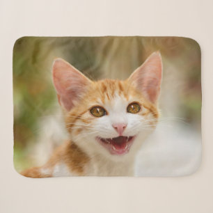 Manta Sherpa Un gatito gracioso sonriente gatito gracioso frent