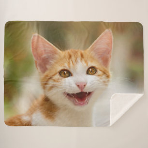 Manta Sherpa Un gatito gracioso sonriente gatito gracioso frent