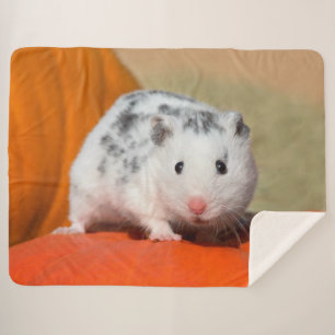 Manta Sherpa Un Mascota divertido con un blanco negro martillo