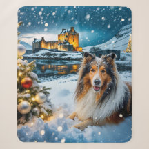 Vacaciones de Collie