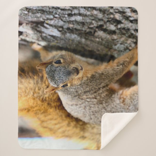 Manta Sherpa ¿Vienes? (Anverso)