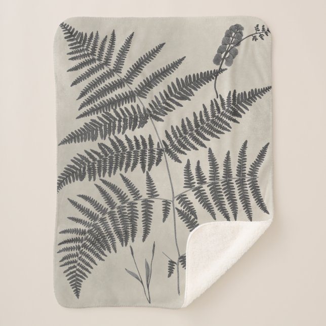Manta Sherpa Vintage Ferns (Anverso)