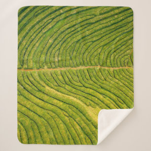 Manta Sherpa Vista aérea de campo abierto verde