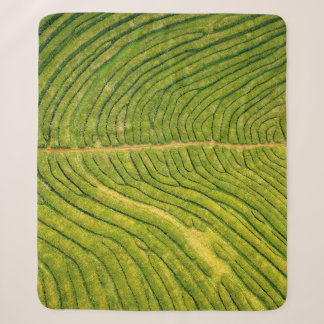 Manta Sherpa Vista aérea de campo abierto verde
