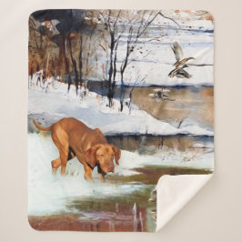 Manta Sherpa Vizsla húngara, patos de caza en invierno