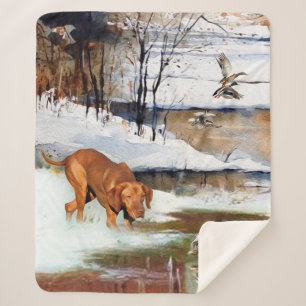 Manta Sherpa Vizsla húngara, patos de caza en invierno