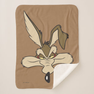 Manta Sherpa Wile E. Coyote Shot