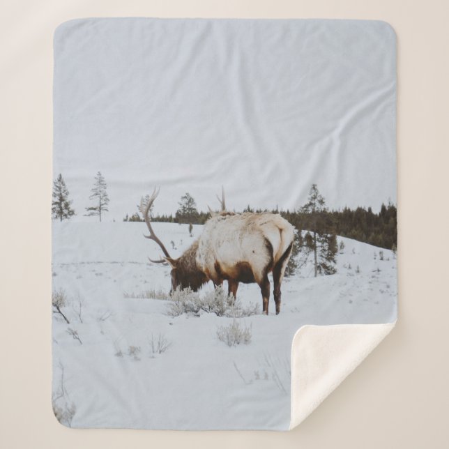 MANTA SHERPA WINTER LANDSCAPE WITH A DEER (Anverso)