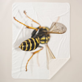 MANTA SHERPA YELLOW JACKET