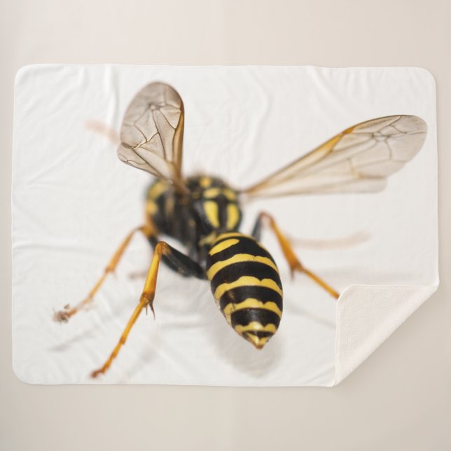 MANTA SHERPA YELLOW JACKET (Anverso (horizontal))