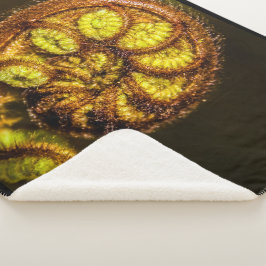 Manta Sherpa Young Fern Leaves