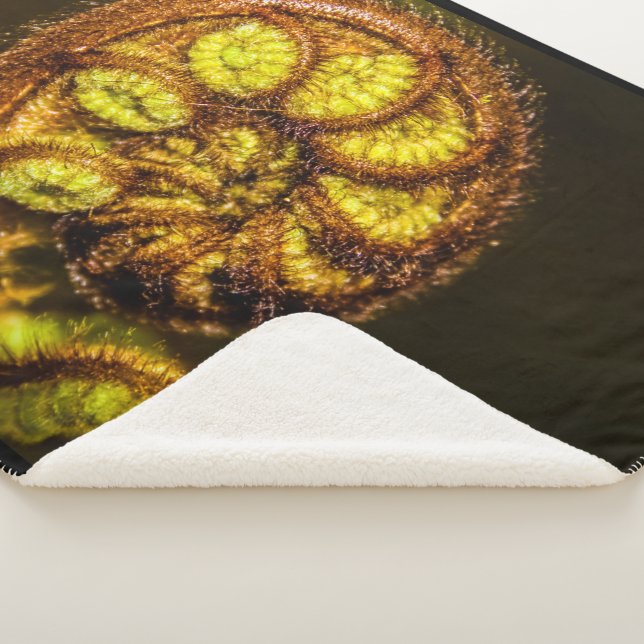 Manta Sherpa Young Fern Leaves (3/4)