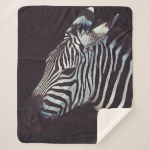 MANTA SHERPA ZEBRA EN PRINCIPIOS DE ENFOQUE EN ESCASOS
