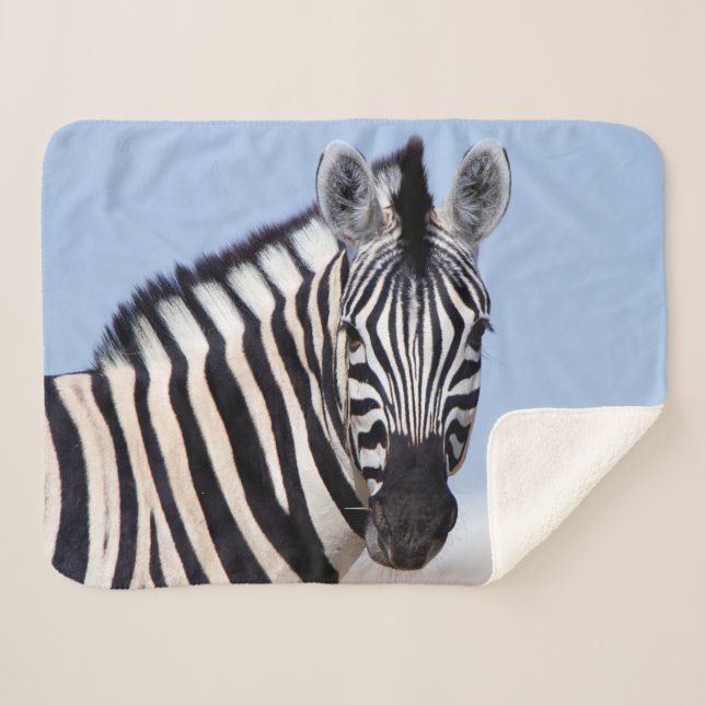 Manta Sherpa Zebra mirándote con foto de cielo azul (Anverso (horizontal))
