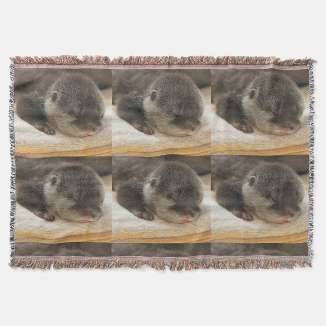 Manta Sleepy Otters (Anverso)