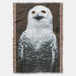 Manta Snowy Owl tbcna
