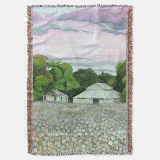 Manta Southern Sunset