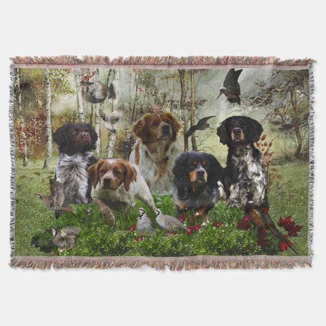 Manta Spaniels de Bretaña, Caza de Aves (Anverso)
