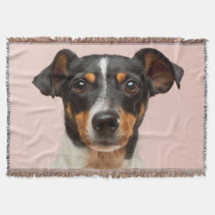 Manta Su perro fotográfico Mascota