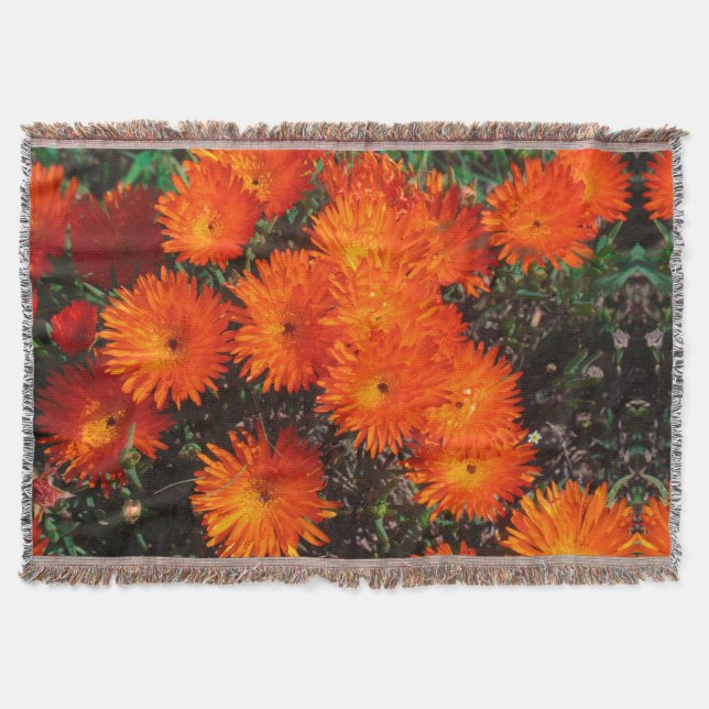 Manta Suculentas flores de Naranja verde de Sudáfrica (Anverso)