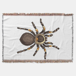 Manta Tarantula