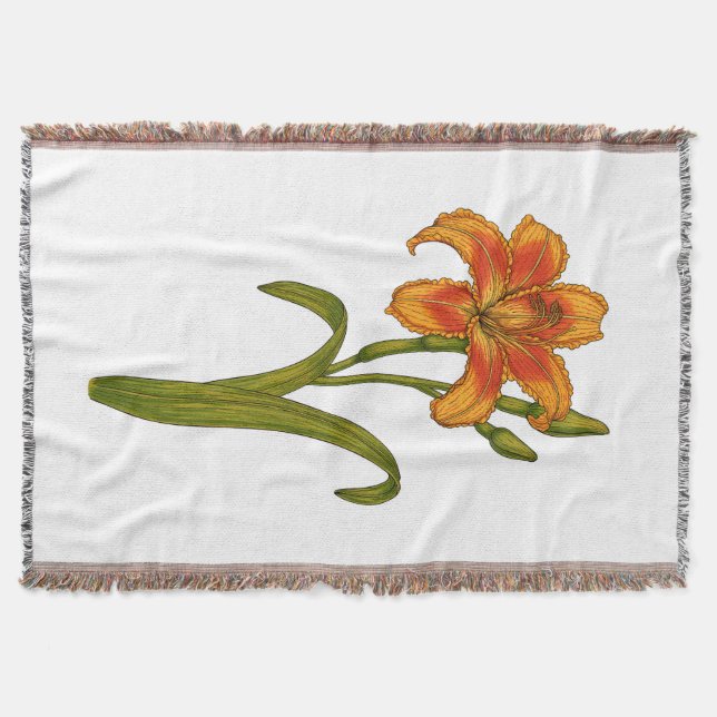 Manta Tawny daylily (Anverso)