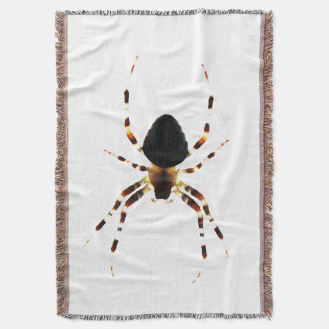 Manta Tba araña (Frente vertical)