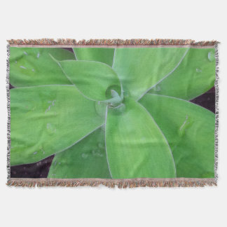 Manta Tejida Agave and Raindrop