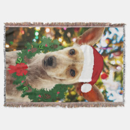 Manta Tejida Alegría por el cachorro