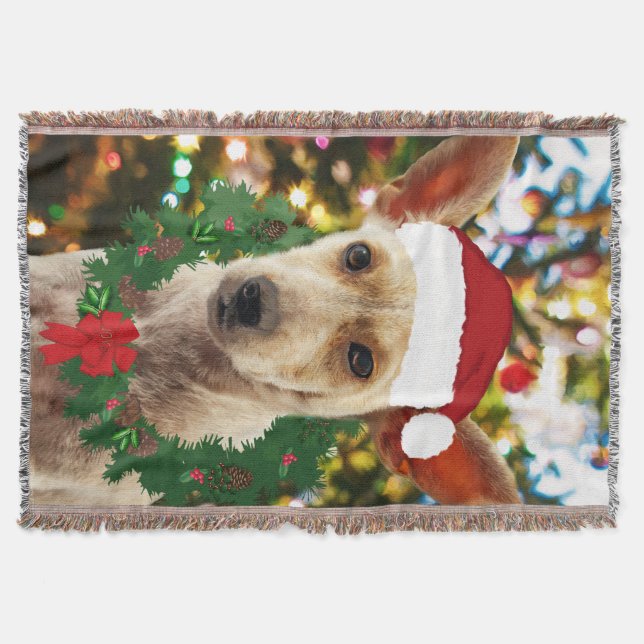 Manta Tejida Alegría por el cachorro (Anverso)