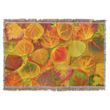 Aspen Deja Collage Sólido Medley 1