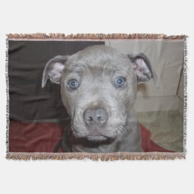 Manta Tejida Blue Staffordshire Bull Terrier Puppy, (Anverso)