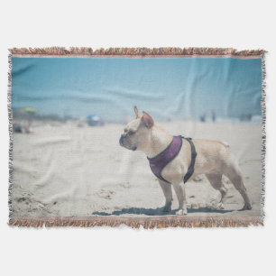 Manta Tejida Bulldog francés en la playa