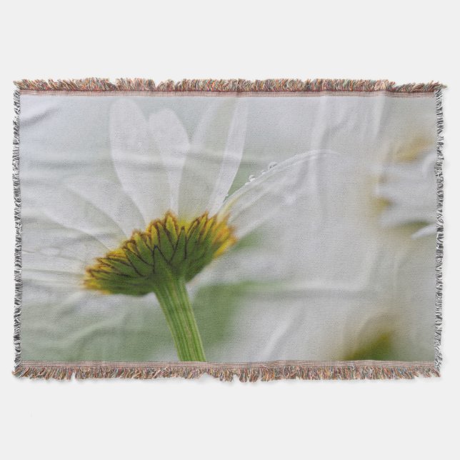 Manta Tejida Canadá, Nueva Brunswick, (Anverso)