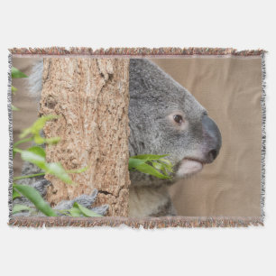 Manta Tejida Captura de pantalla de Koala