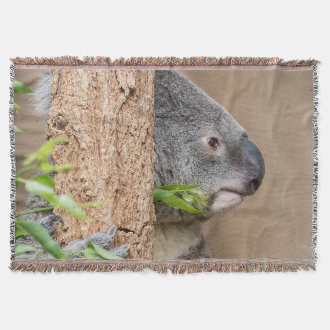 Manta Tejida Captura de pantalla de Koala (Anverso)