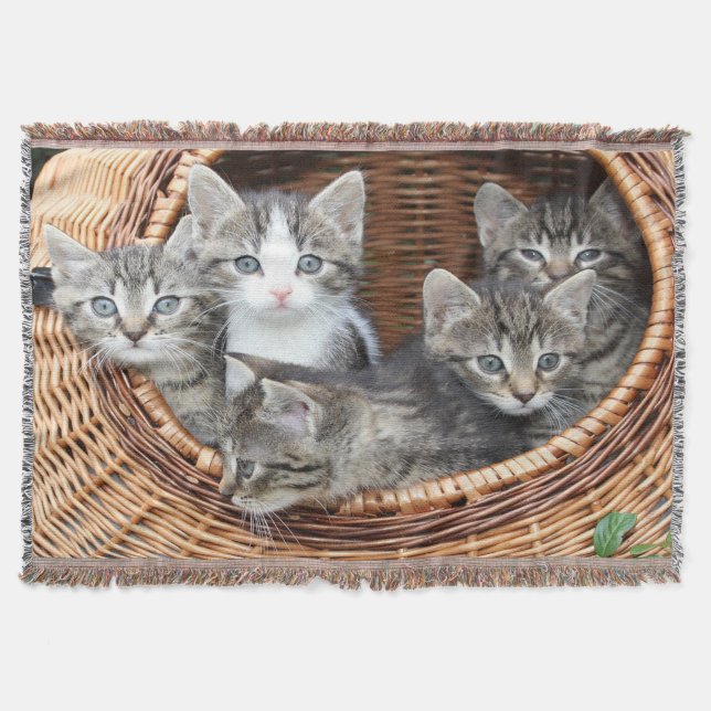 Manta Tejida Cesta llena de gatitos (Anverso)