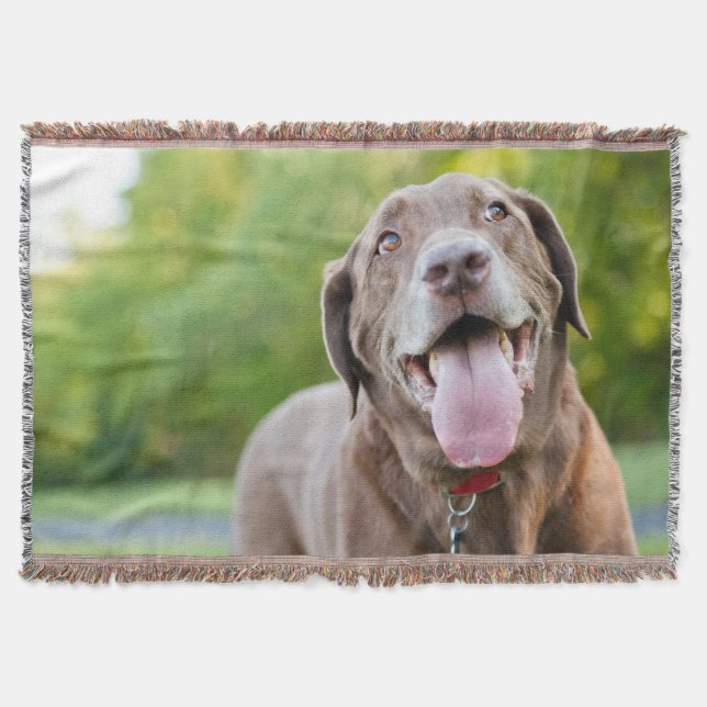 Manta Tejida Chocolate Lab Dog (Anverso)
